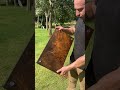 Tábua em raiz de Imbúia