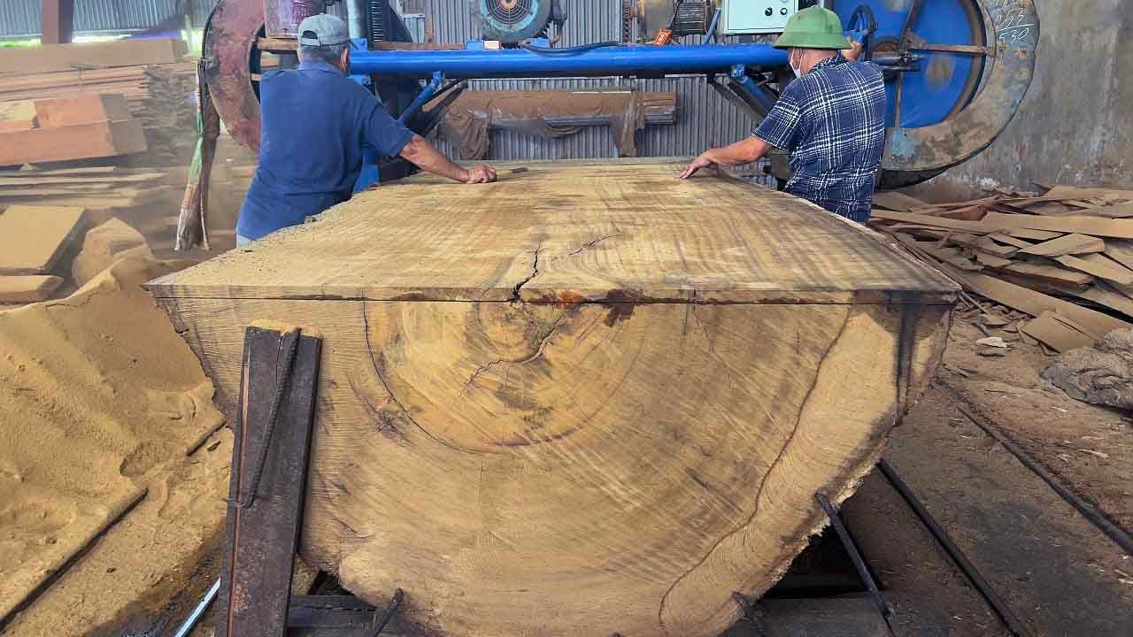 Process Sawn Walnut Wood Bulk In Factory | Extreme Wood Cutting Sawmill ...