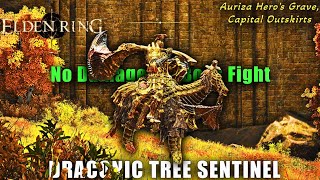 Elden Ring Draconic Tree Sentinel Boss Fight [Solo, No Damage, No Hit, Parry], Capital Outskirts