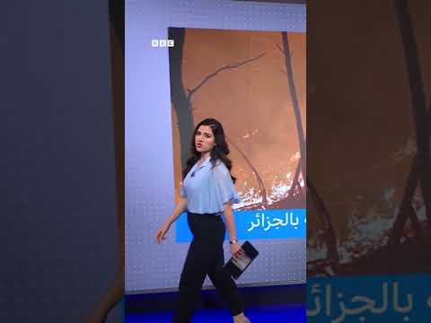 تدخل الجيش الجزائري لإخماد حرائق في ولايات متعددة