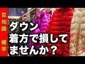 【衝撃】正しいダウンジャケット着方 損する着方６選 知って得する豆知識【モルモル雑学】