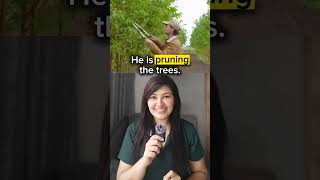 🌱 Grow your English! Learn everyday garden vocabulary and make your speech bloom 🌸