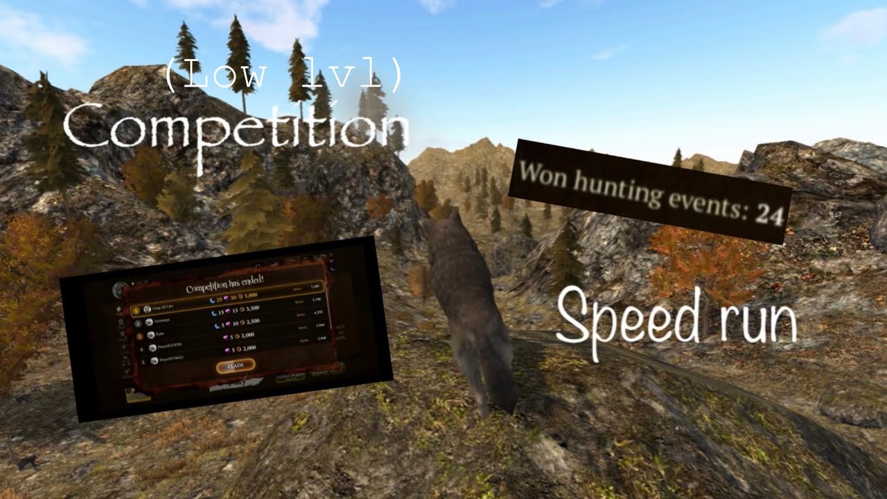 1k competition speed run | (Apology video) | The Wolf Online Simulator 