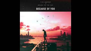 Five Arrows- Because of You (feat. Drawn To The Sky)