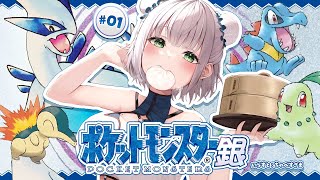 白銀ノエルの配信のサムネイル画像