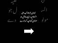 #shaneabutalib#islam#quran#shaneahlebaet