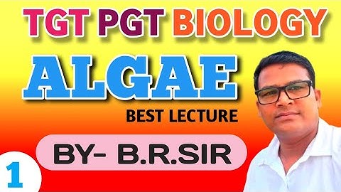 ALGAE DEMO LECTURE || TGT PGT BIOLOGY ONLINE BEST CLASS