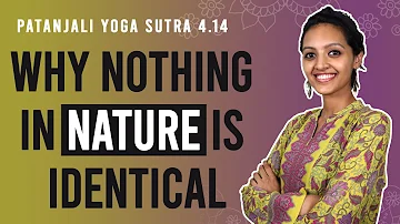 Patanjali Yoga Sutra 4.14-Why Nothing In Nature Is Identical | Yoga Teacher Training | Anvita Dixit