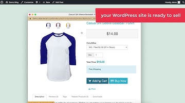 Embed AbanteCart Ecommerce to your Wordpress or any website