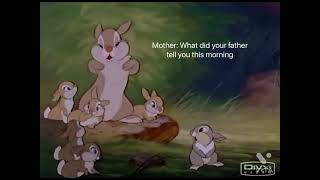 Thumper, what did your father tell you…..