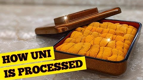 How Sea Urchin (Uni) Is Processed - How To Make Sushi Series