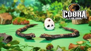 Unleash the Adventure with Touch-Sensitive Remote Control Cobra Toy Simulation Model