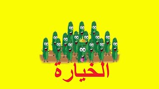 الخيارة طيور بيبي Toyor Baby Khayar