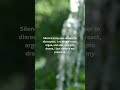 Silence is my new answer to disrespect,