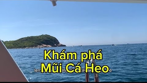 KHÁM PHÁ VĨNH HY – VỊNH ĐẸP NHẤT NINH THUẬN | HÀNH TRÌNH RA KHƠI TỚI VỊNH CÁ HEO 🐬