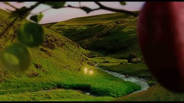 Interpol - Everything Is Wrong