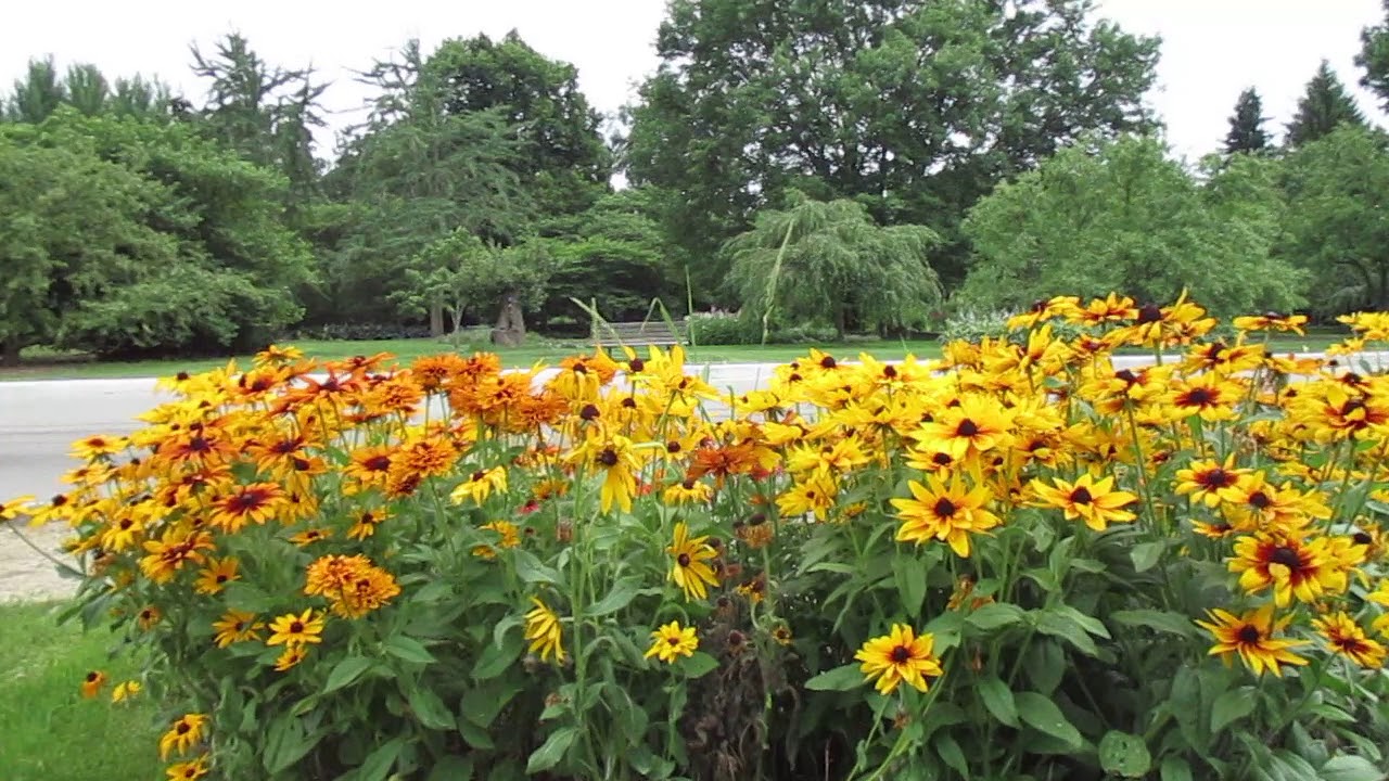 Midwest Flower Garden