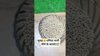 👉 Subah dhaniya pani peene ke zabardast fayde 🌿💧 body detox, digestion better aur skin glow bhi 😍✨