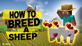 How to Breed Sheep in Minecraft: Get Wool and Mutton for Your Adventures!