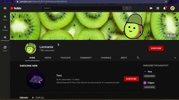 kiwi bot/ banana bot