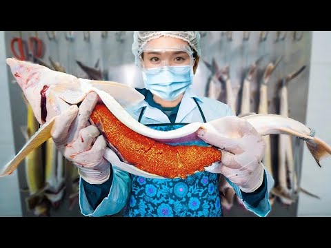 Incredible Method of Growing Red Caviar. How to Make Caviar