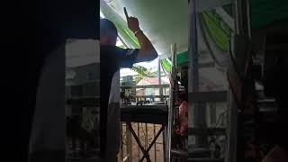 Download Lagu Orgen tunggal DS Entertaiment MP3