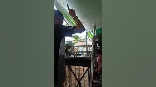 Orgen tunggal DS Entertaiment