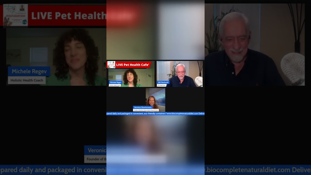 Inside-out healing: nutrition, Reiki, PEMF & animal communication