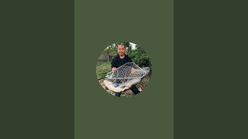 HUÂN DQ đang phát trực tiếp!