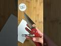 Day 9️⃣: Edge Retention Testing -- Spyderco Paramilitary 2 in M390 #triedandtrueedc