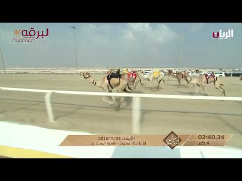 ش1 لوجين ل راشد سعيد علي الزرعي ميدان لبصير بالمحلي الرابع 05 11 2025م لقايا بكار مفتوح 6 20 61