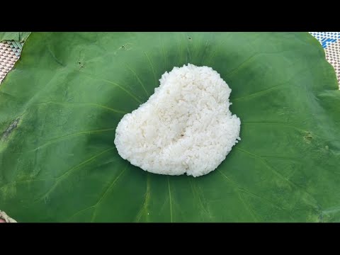 Cambodian Street Food Compilation From January To June , 2024