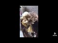 和装髪飾り・和装小物・コサージュ・アクセサリー・Ｒｏｓｅ７・製造メーカーの町田造花・新規髪飾り紹介動画