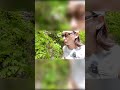 山登ってない奴は #taeyo #vlog #hiking #山登り #悟り