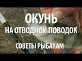 РЫБА ОКУНЬ на СПИННИНГ с БЕРЕГА. ЛОВЛЯ на ОТВОДНОЙ ПОВОДОК ОКУНЯ