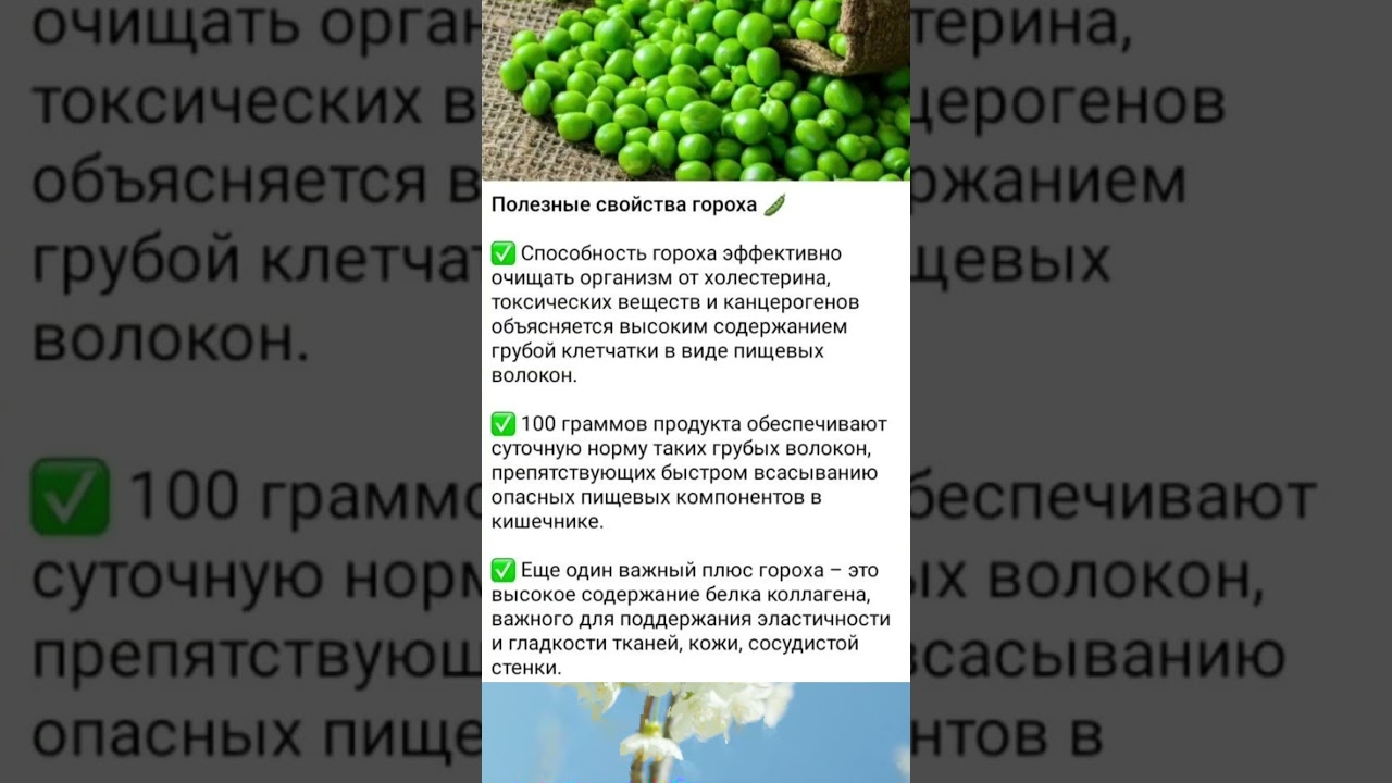 Полезные свойства гороха #советы #полезныесоветы #полезно #чай #витамины