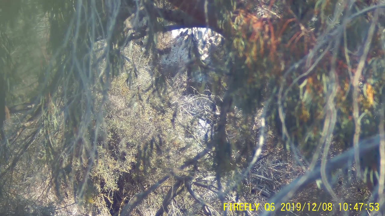 AIRSOFT_SNIPER_ VSR10_ AIRSOFT CYPRUS YouTube