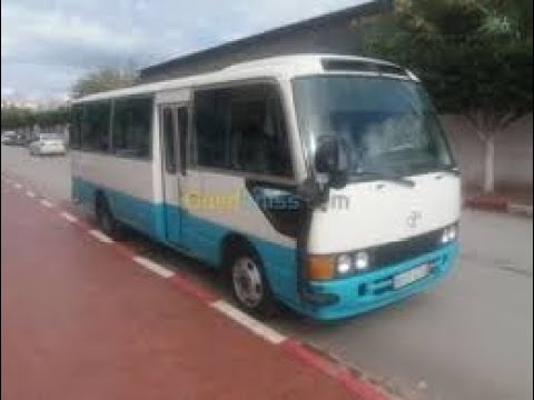 روتين راجع في الحافلة الي المنزل تحيا فلسطين و الصجراء الغربية و الجزائر تحيا الجيش الوطني الشعبي 