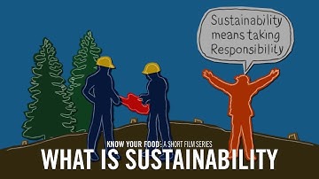What Is Sustainability?