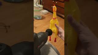 Rubber Chicken vs. A Back Massager #rubberchicken