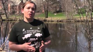 Red Cedar River clean up