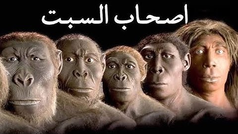 قصة أصحاب السبت .. تلاوة رائعة _ سورة الأعراف القارئ عبدالرحمن خيري