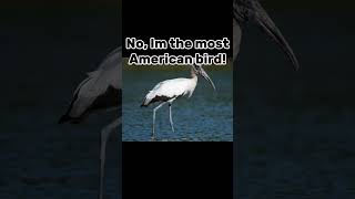 It’s a joke #trending #shorts #usa #america #message #darkhumor