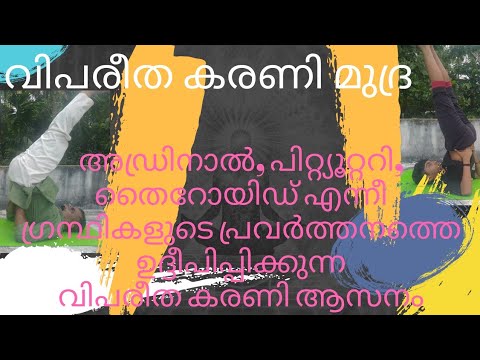 വിപരീത കരണി മുദ്ര | VIPAREETHA KARANI MUDRA