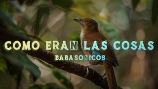 Babasónicos - Cómo Eran las Cosas (En Vivo)(Lyrics/Letra)