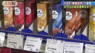 ヨーロッパのチョコが安くなる？日欧EPA交渉(17/06/21)