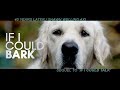 IF I COULD BARK / BEST DOG FILM / OFFICIAL VIDEO