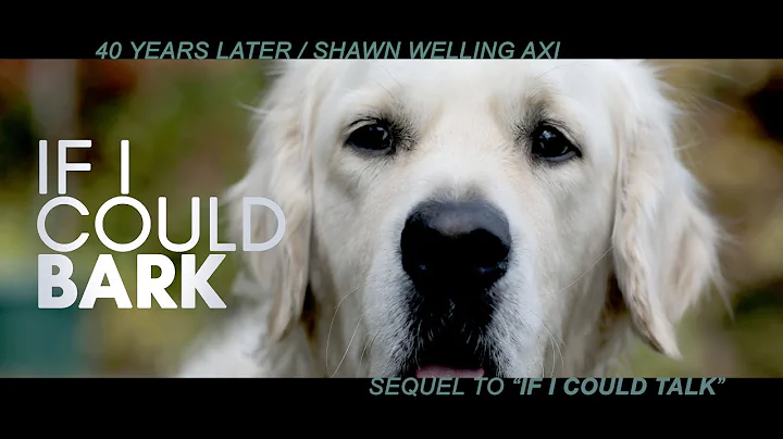 IF I COULD BARK / BEST DOG FILM / OFFICIAL VIDEO - DayDayNews