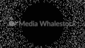 Abstract counting numbers, time and code information on black background. Animation. Many numbers