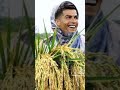 Kishak ronaldo shorts football fyp pranto editz 